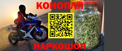 a pvp Будённовск