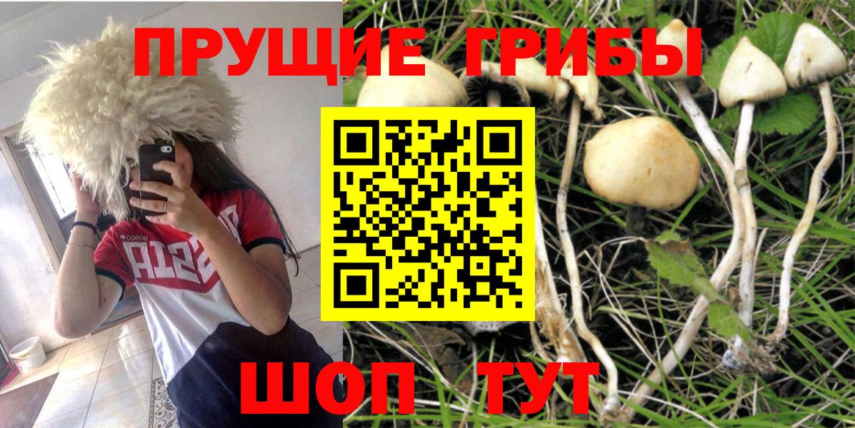 Псилоцибиновые грибы прущие грибы Ульяновск